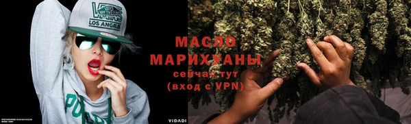 индика Нягань