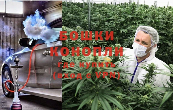 ALPHA PVP Осинники