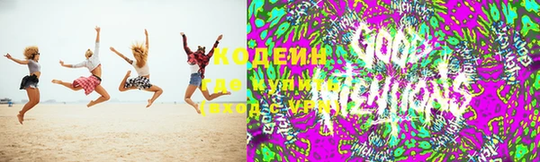 индика Нягань