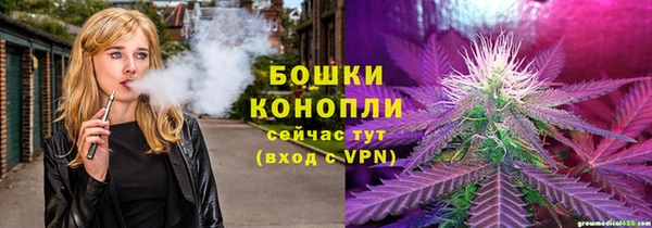 индика Нягань