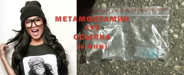индика Нягань